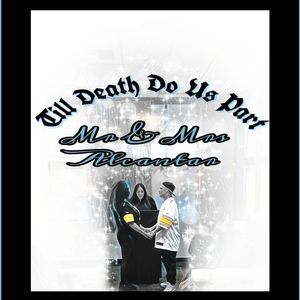 Meet your Posher, Albert